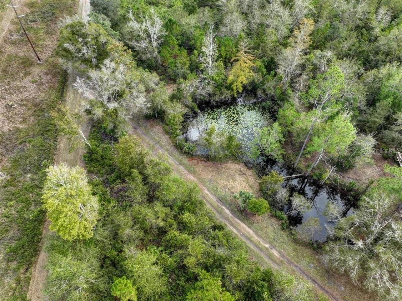 310 N Otter Creek Avenue, Bronson, FL 32621 Photo