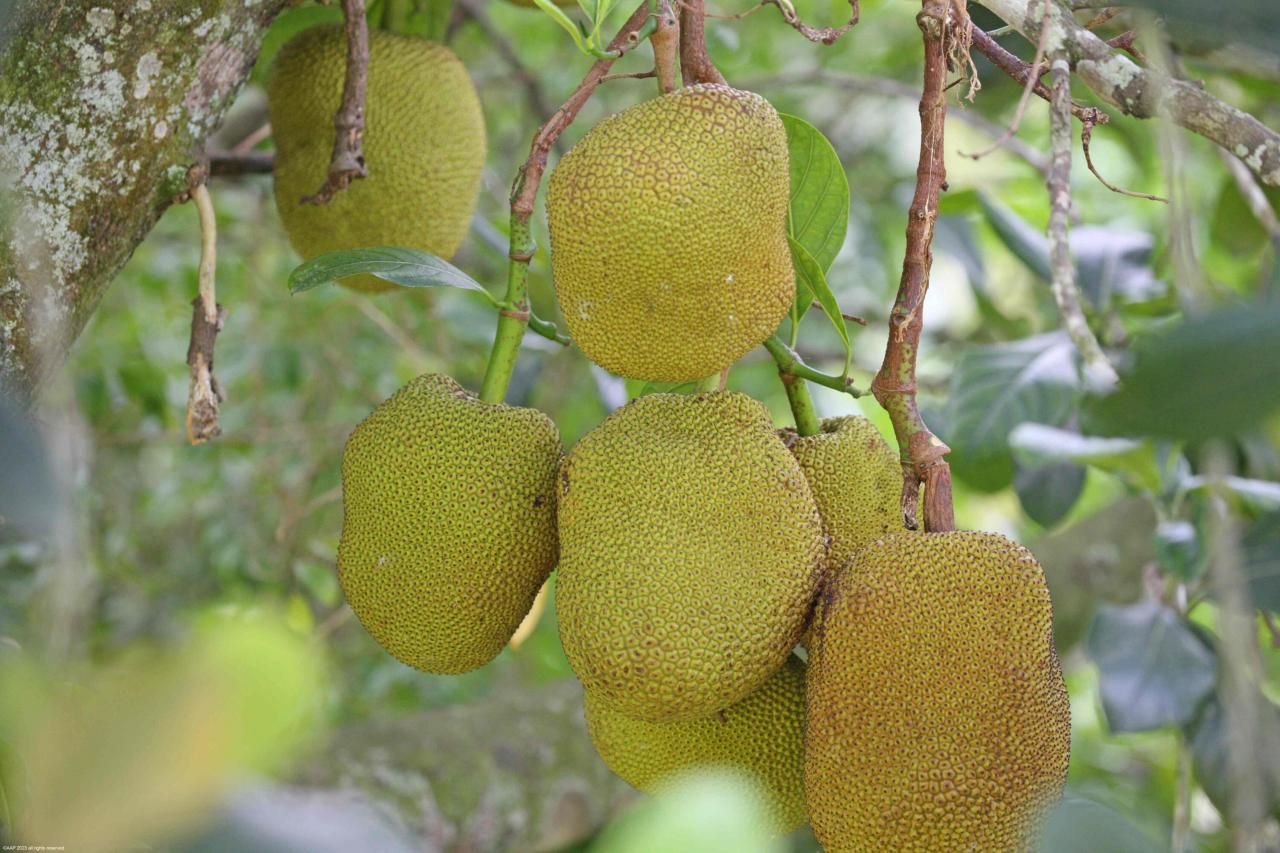 16559 Rustic Road, Wellington, FL 33470 Photo