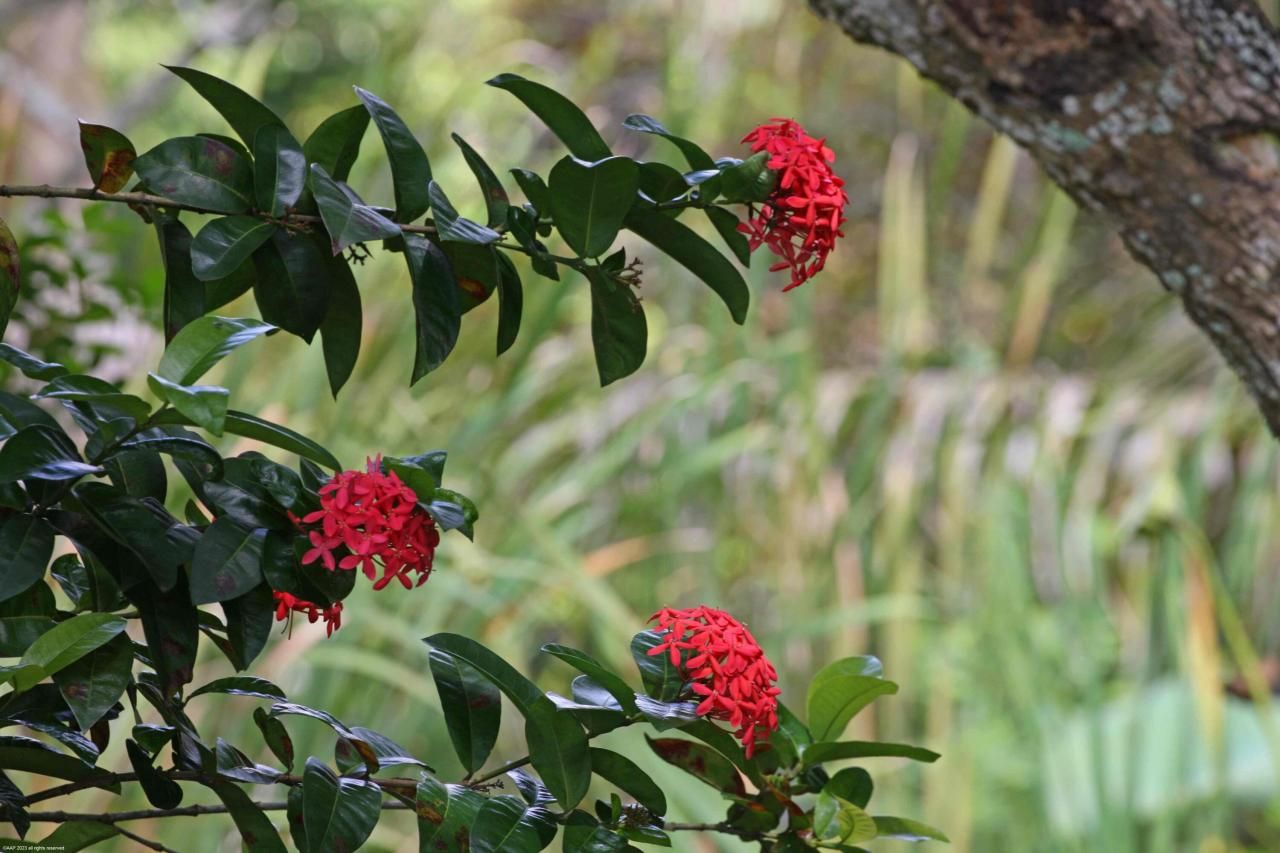 16559 Rustic Road, Wellington, FL 33470 Photo