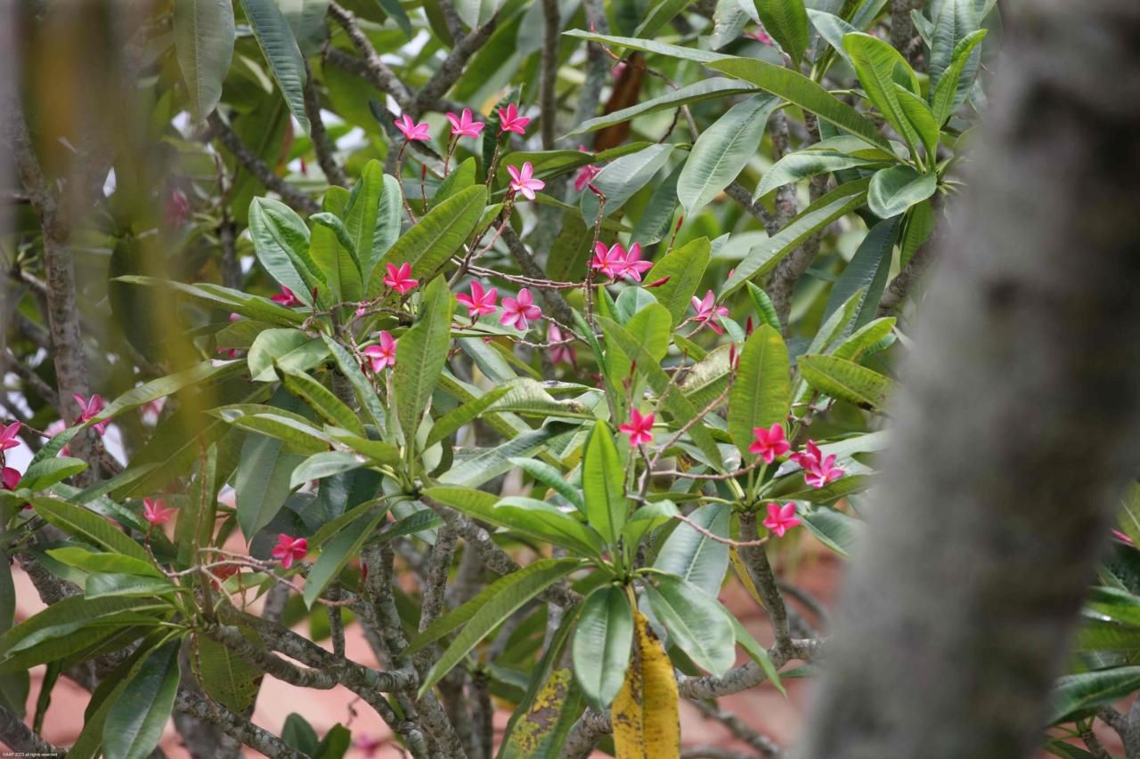 16559 Rustic Road, Wellington, FL 33470 Photo