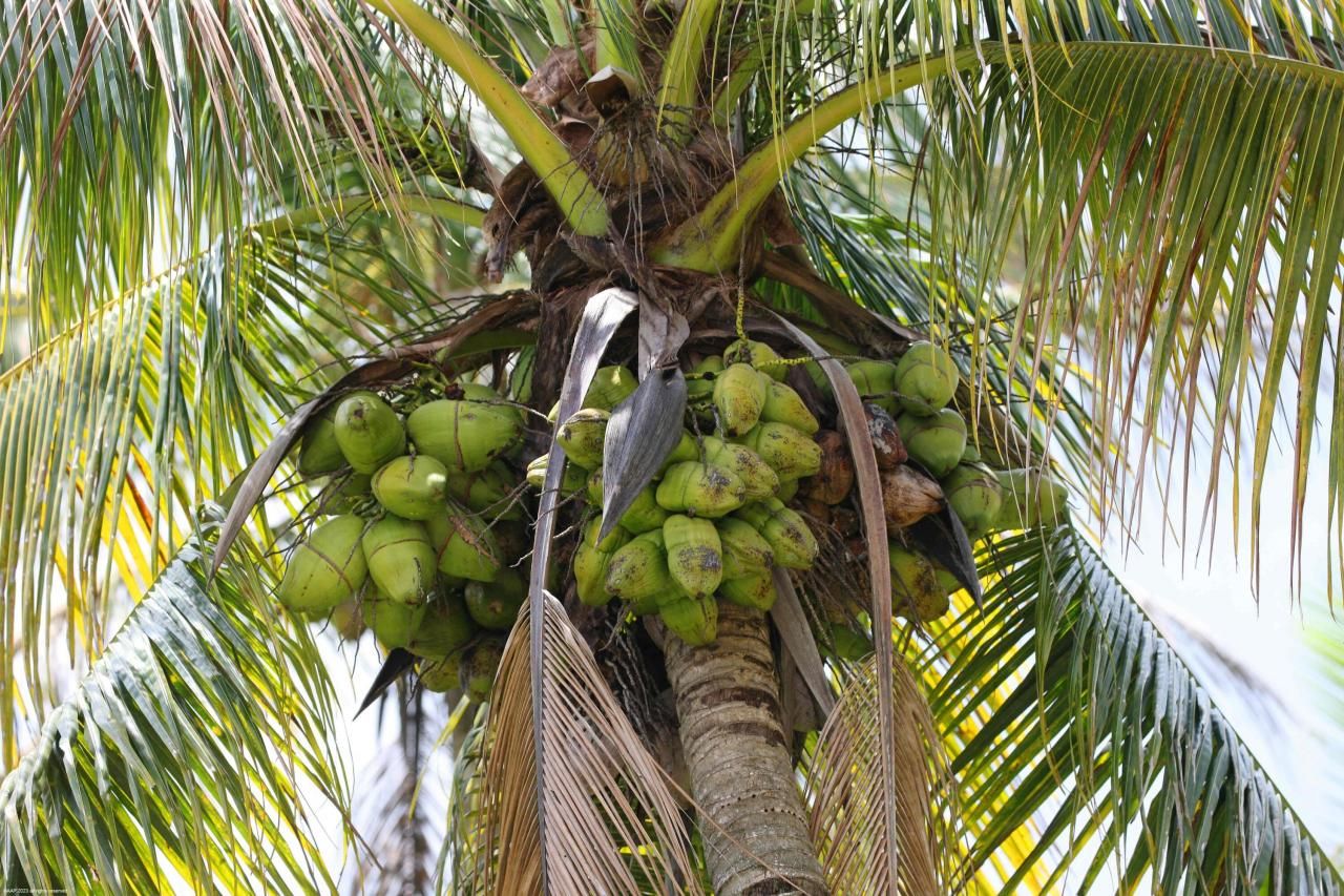 16559 Rustic Road, Wellington, FL 33470 Photo