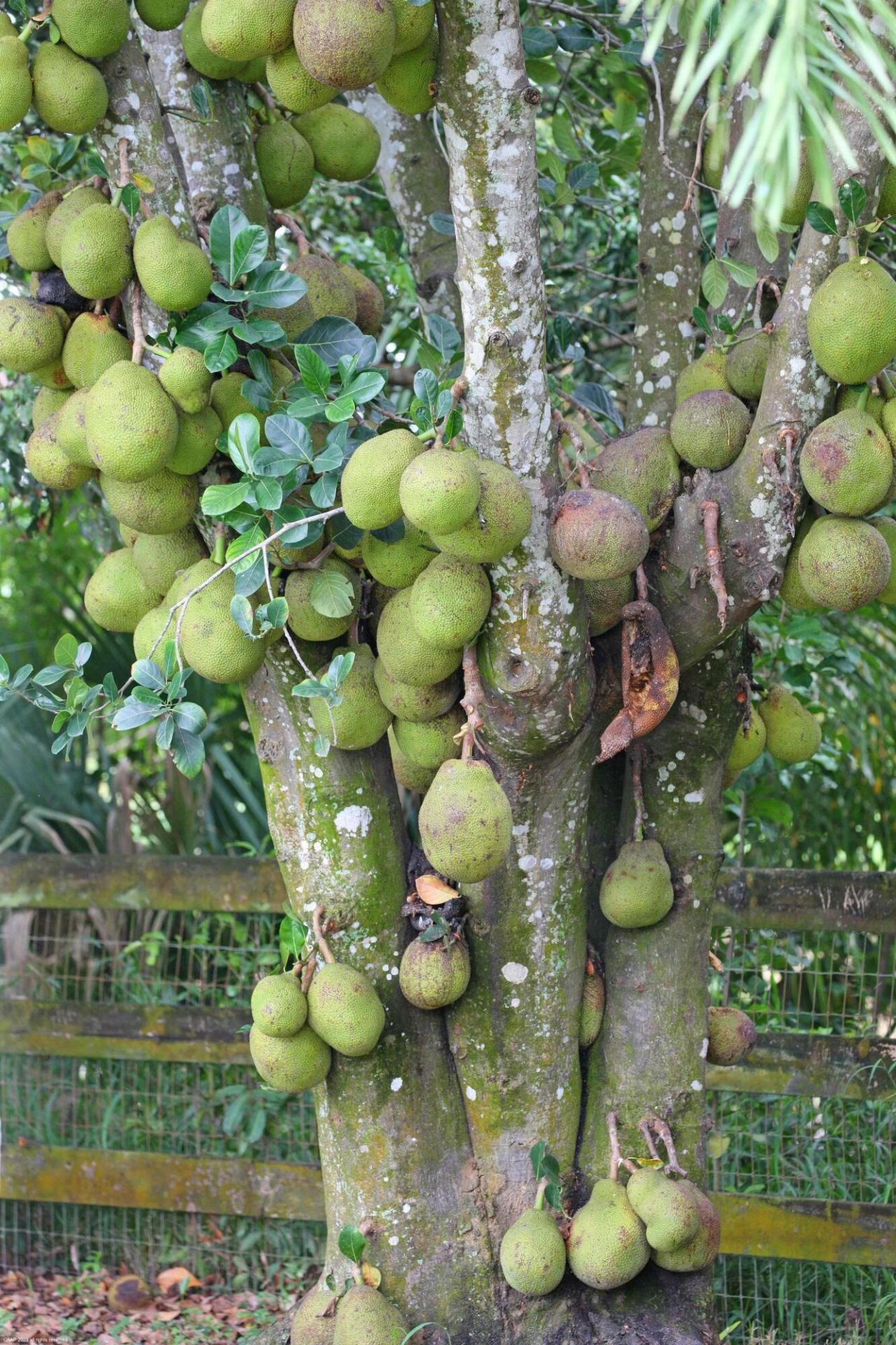 16559 Rustic Road, Wellington, FL 33470 Photo