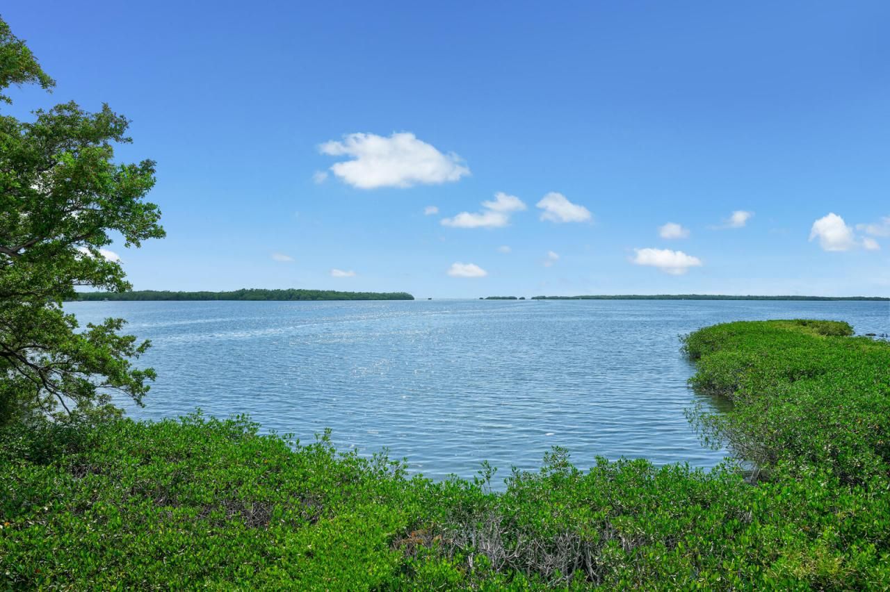 260 Plantation Avenue, Tavernier, FL 33070 Photo