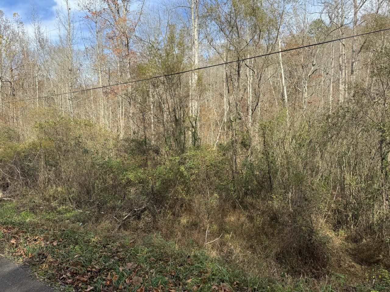 0 Maple Creek Road, Williamsburg, KY 40769 Main Photo