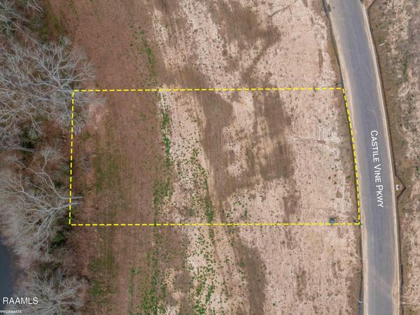 118 Castle Vine Way, Lafayette, LA 70508