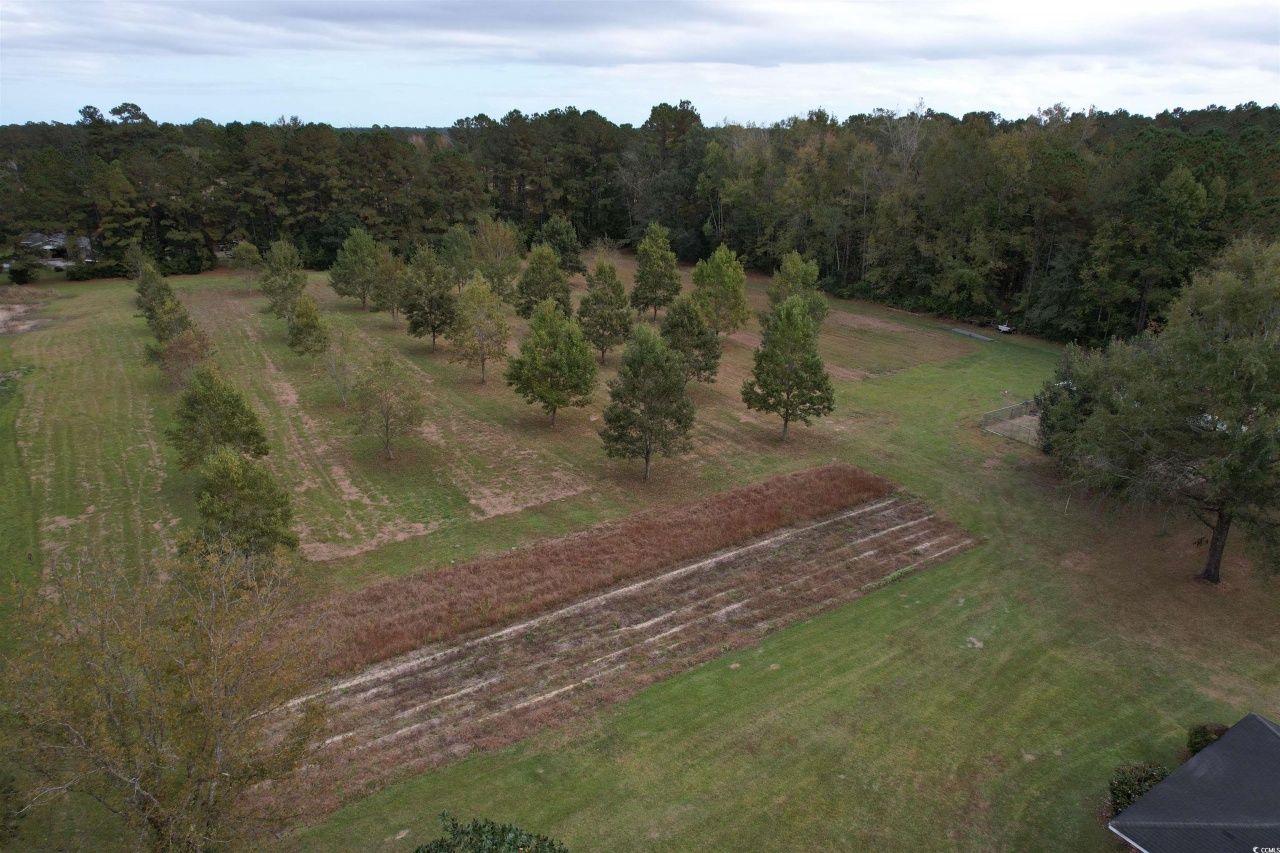 4575 Saints Delight Rd. Photo 22