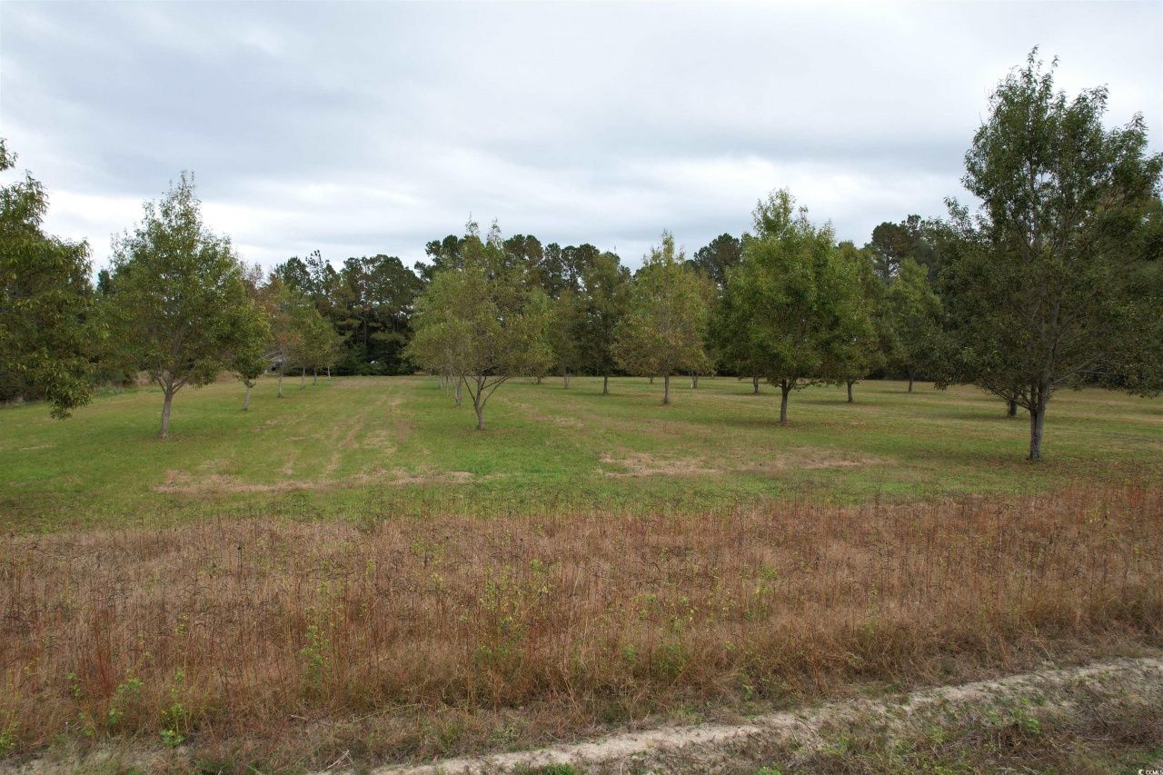 4575 Saints Delight Rd. Photo 23