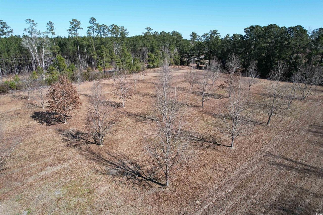 4575 Saints Delight Rd. Photo 29