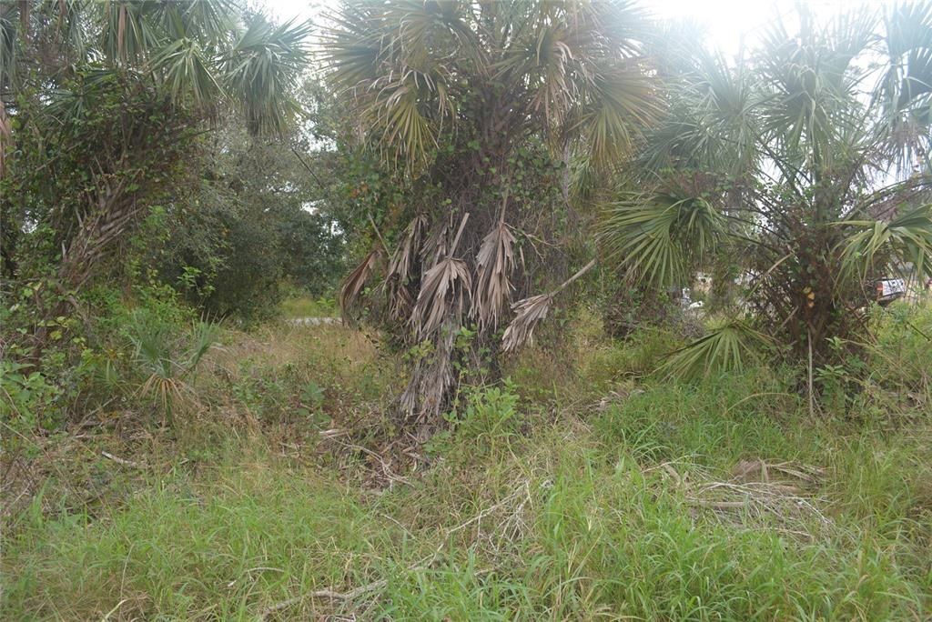 Maddock Circle, North Port, FL 34286 Photo