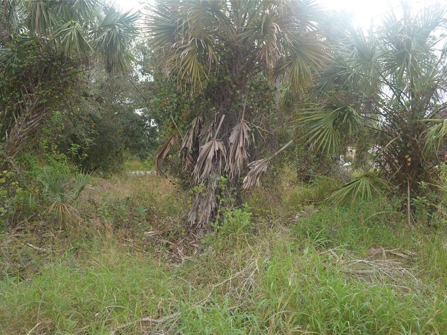 Property Image 17