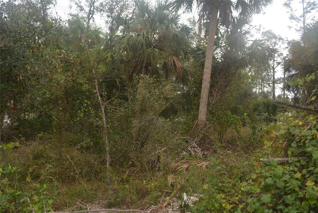 Maddock Circle, North Port, FL 34286 Photo