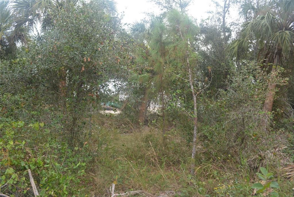 Maddock Circle, North Port, FL 34286 Photo