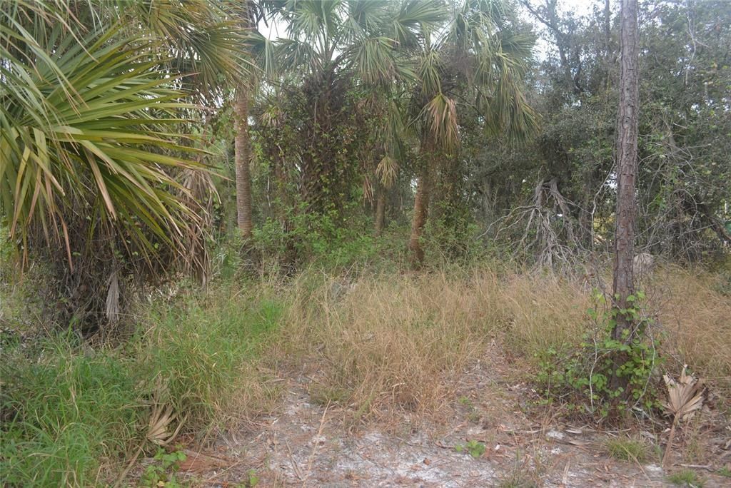 Maddock Circle, North Port, FL 34286 Photo