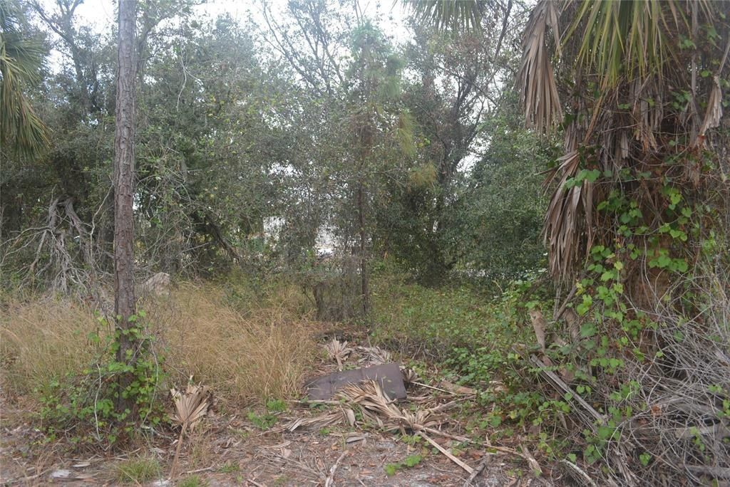 Maddock Circle, North Port, FL 34286 Photo