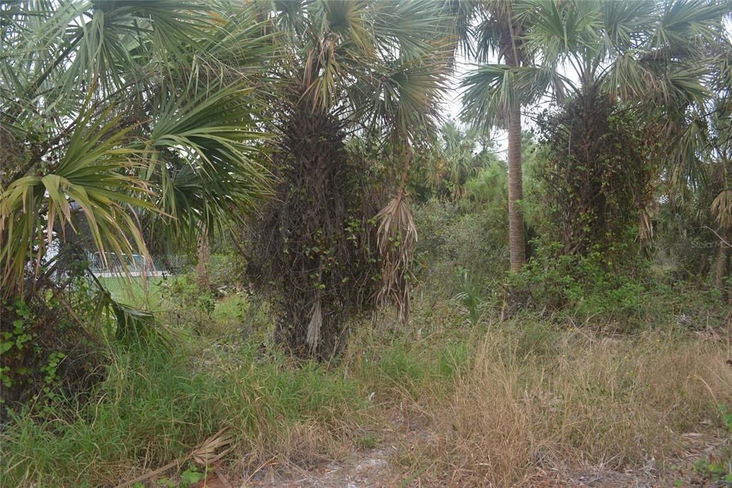 Maddock Circle, North Port, FL 34286 Photo