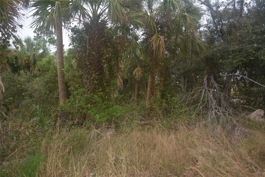 Maddock Circle, North Port, FL 34286 Photo
