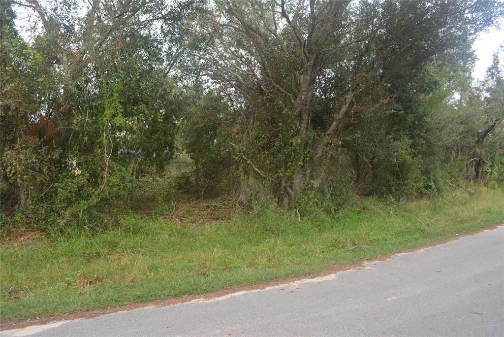 Maddock Circle, North Port, FL 34286 Photo