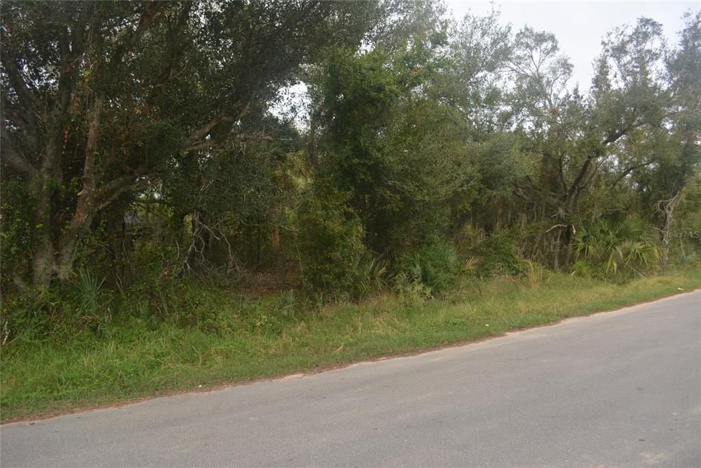 Maddock Circle, North Port, FL 34286 Photo