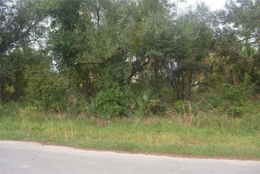 Maddock Circle, North Port, FL 34286 Photo