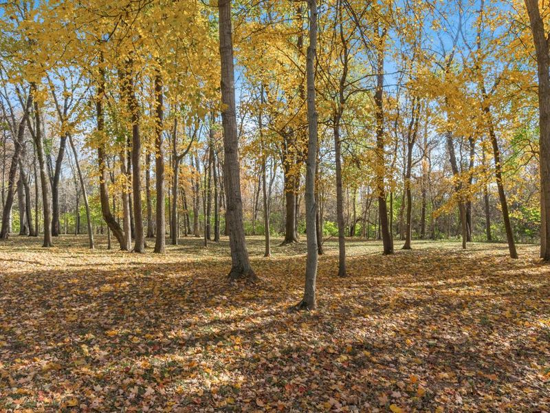 10492 Allen Road, Pickerington, OH 43147 Photo 35