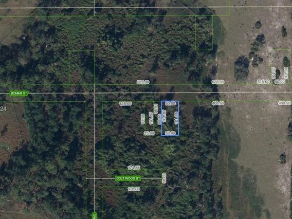 525 Bomar Street, Venus, FL 33960