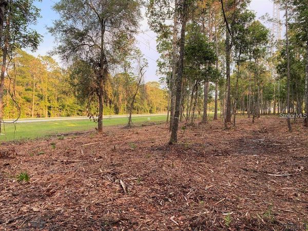 53XX US HWY 1 N, BUNNELL, FL 32110