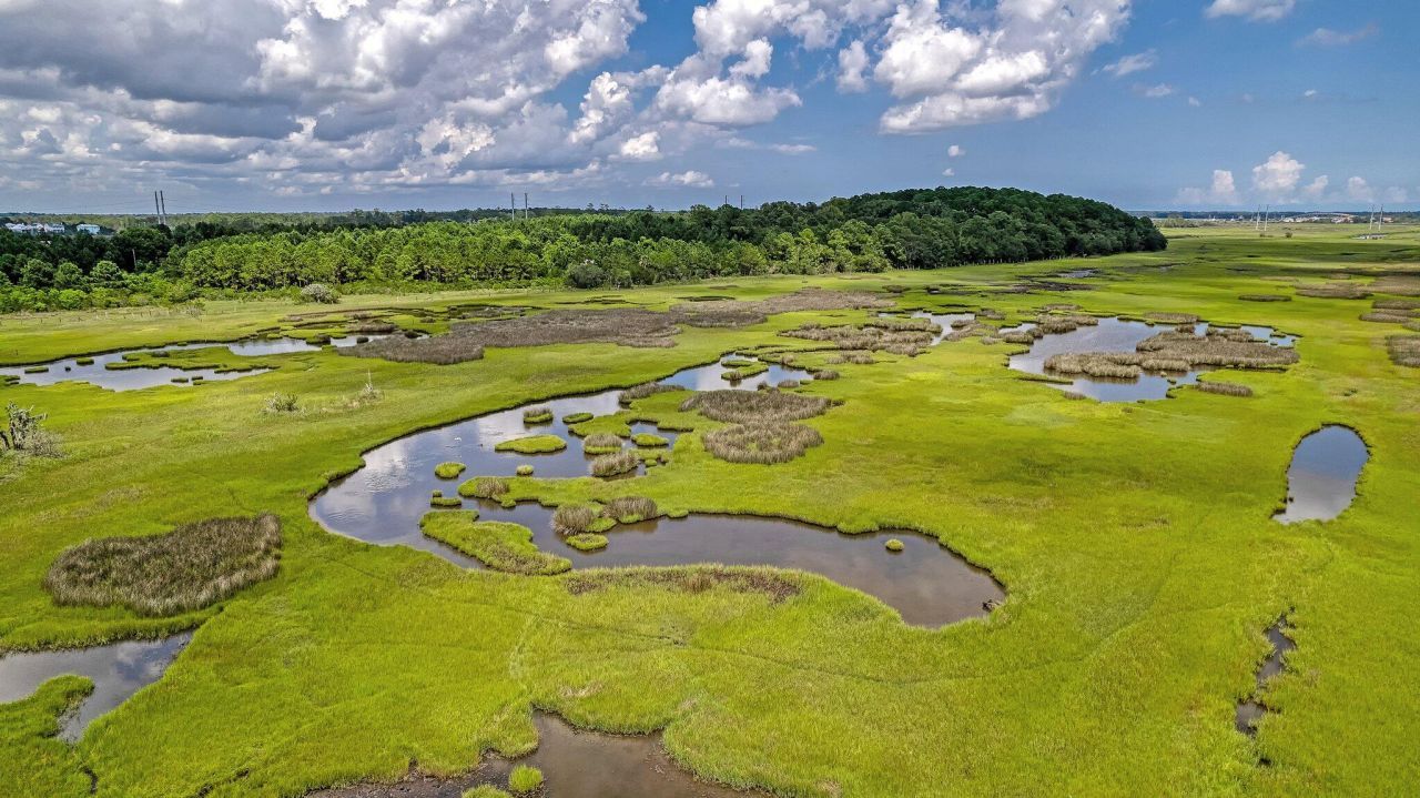 1 River Road Photo 7