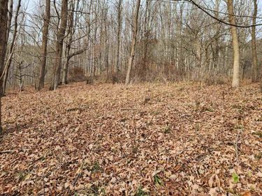 Lot 4 High Mountain Road, Harman, WV 26270