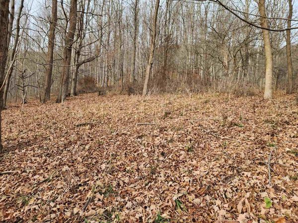 Lot 4 High Mountain Road, Harman, WV 26270