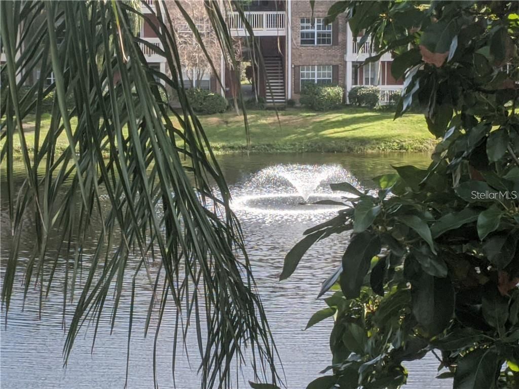 10200 Gandy Boulevard N, Unit 921, Saint Petersburg, FL 33702 Photo