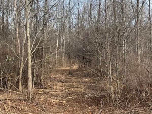 453 Gage Road, Delanson, NY 12053