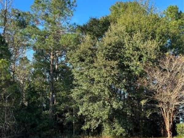 0 Browning Place Court, Mobile, AL 36608