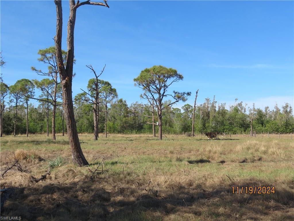 8721 Nome Ct, Saint James City, FL 33956 Photo