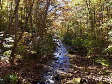 2453 Channel Road, Mill Creek, WV 26280