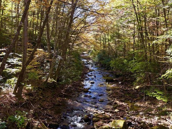 2453 Channel Road, Mill Creek, WV 26280