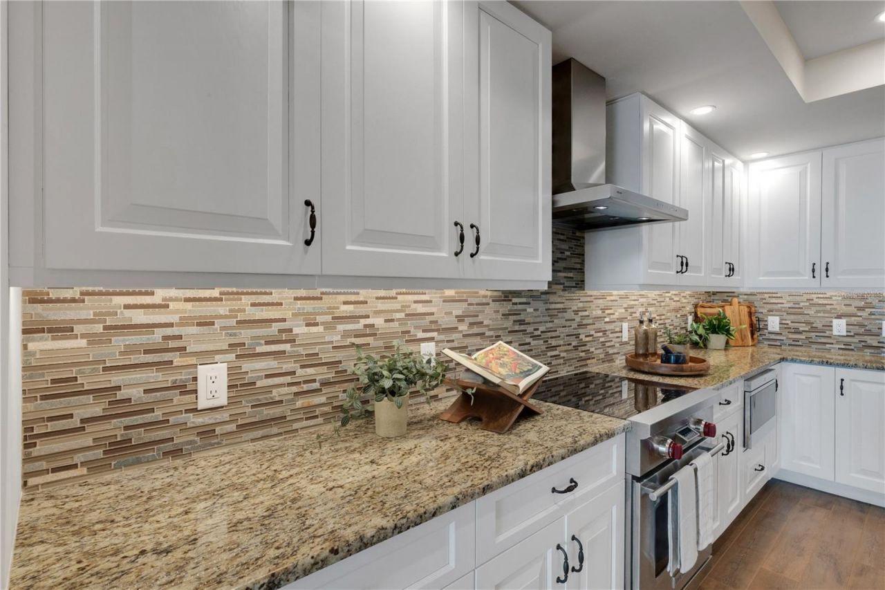 795 Collany Road, Unit 304, Saint Petersburg, FL 33715 Photo