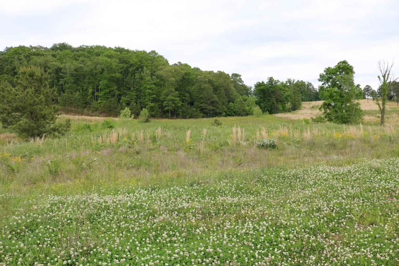 216 Lake Ferry Drive, Lenoir City, TN 37772 Main Photo