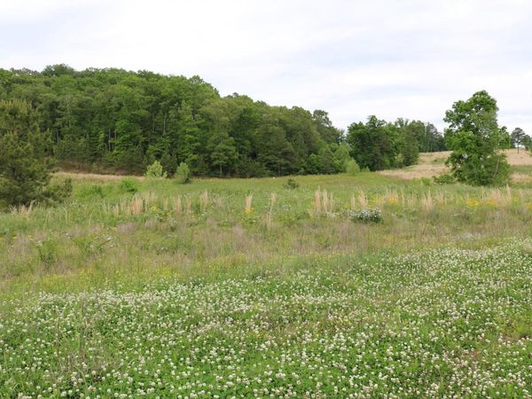 216 Lake Ferry Drive, Lenoir City, TN 37772