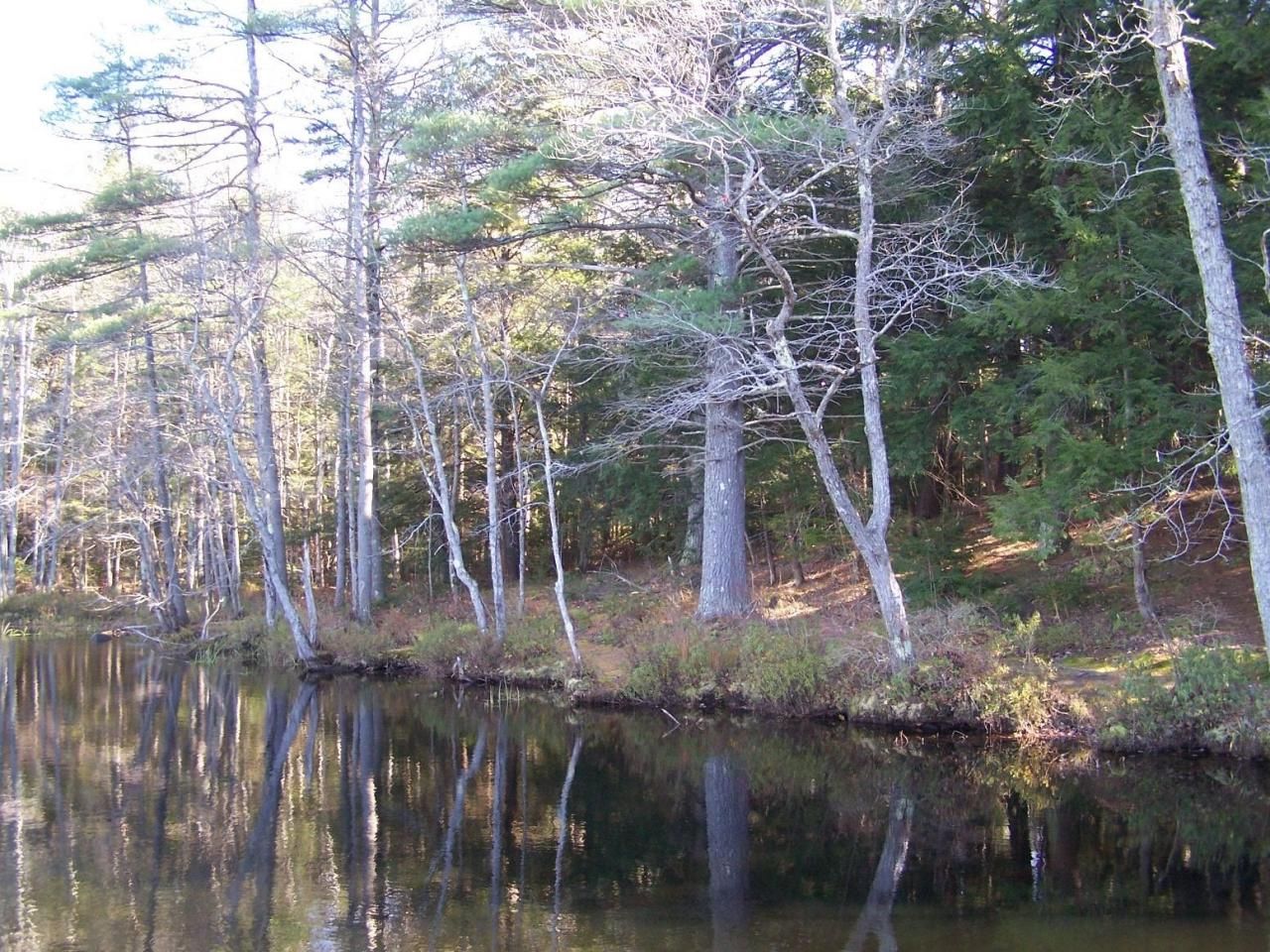 00 Scott Pond Road, Fitzwilliam, NH 03447 Main Photo