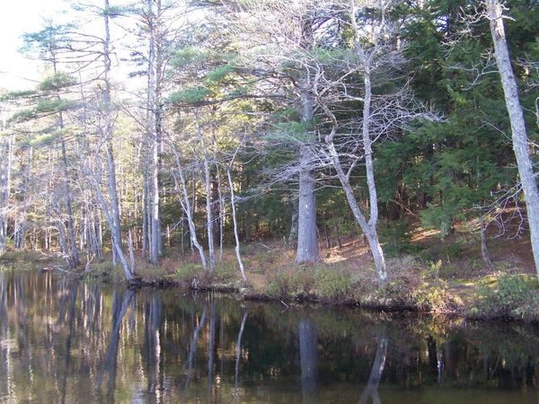 00 Scott Pond Road, Fitzwilliam, NH 03447