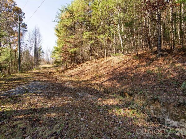 99999 Big Raven Lane, Saluda, NC 28773