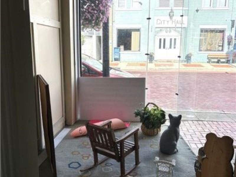 212 N Market Street, Minerva, OH 44657 Photo 5