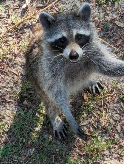 39200 Cook Brown Rd, Punta Gorda, FL 33982 Photo