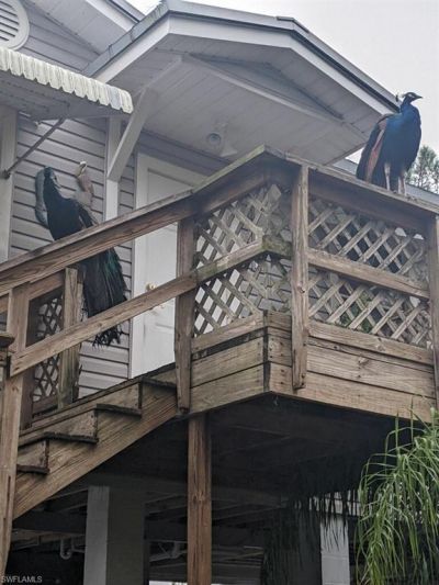 39200 Cook Brown Rd, Punta Gorda, FL 33982 Photo