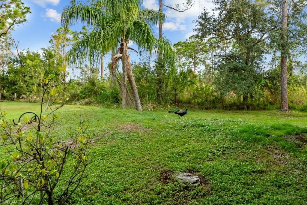 39200 Cook Brown Rd, Punta Gorda, FL 33982 Photo
