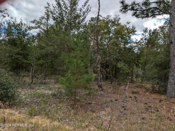 0200 PINE Way, Interlachen, FL 32148