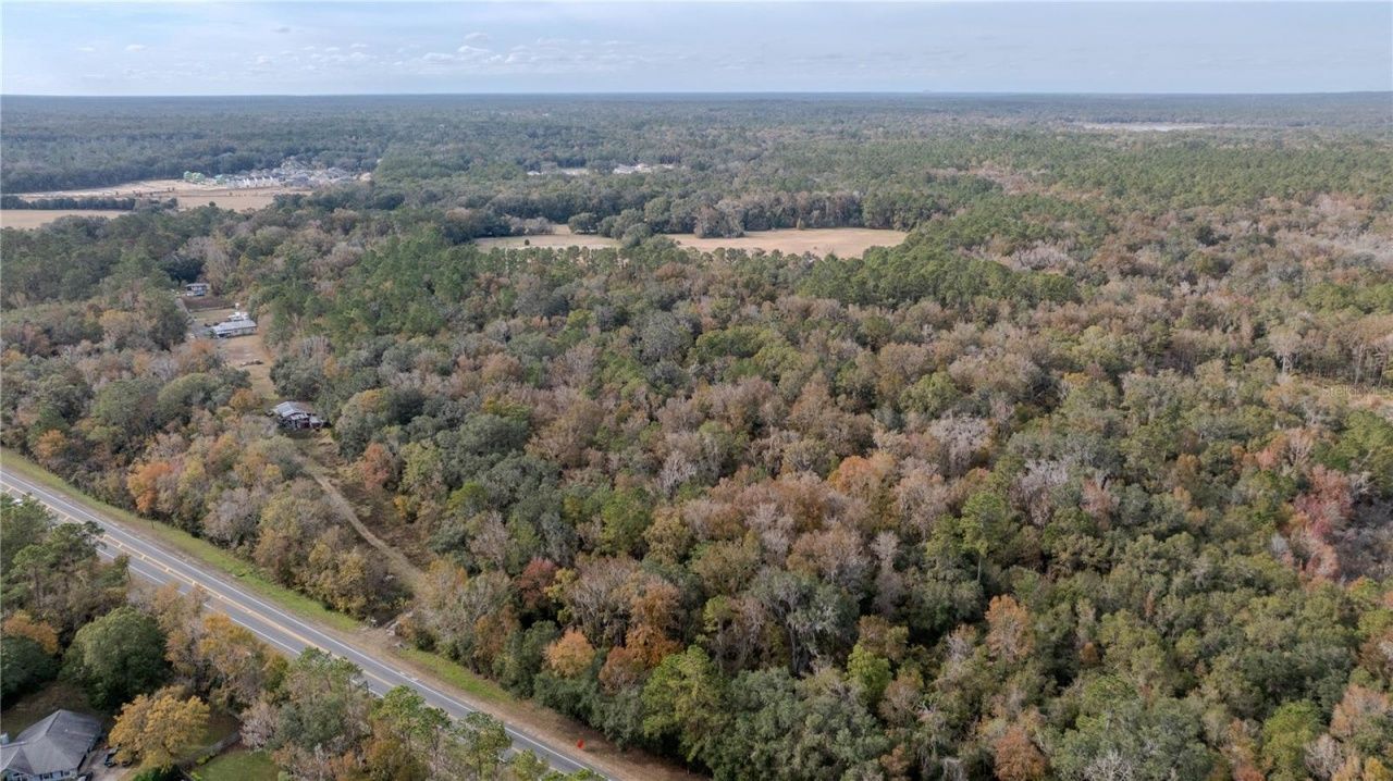 4068 SW 62nd Avenue, Gainesville, FL 32608 Photo