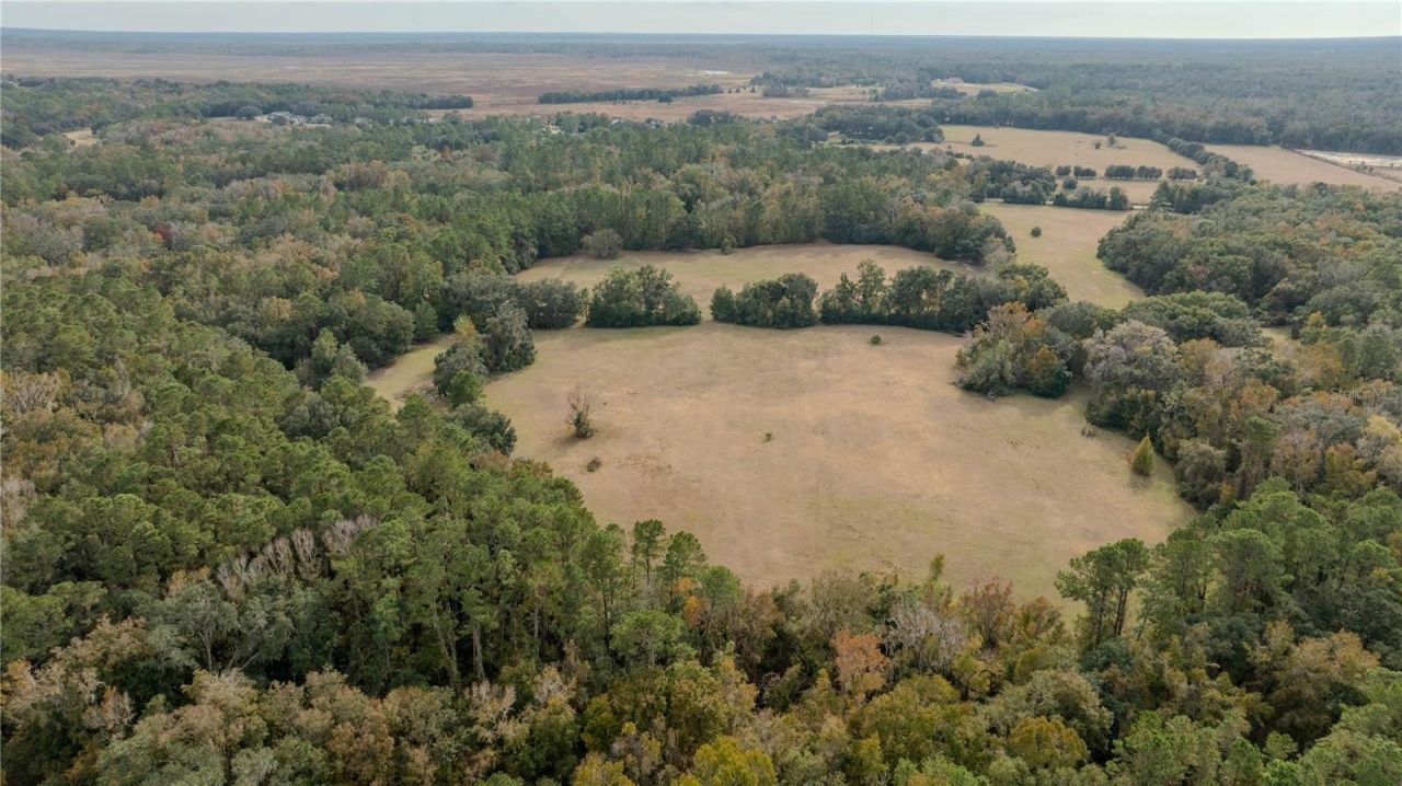 4068 SW 62nd Avenue, Gainesville, FL 32608 Photo