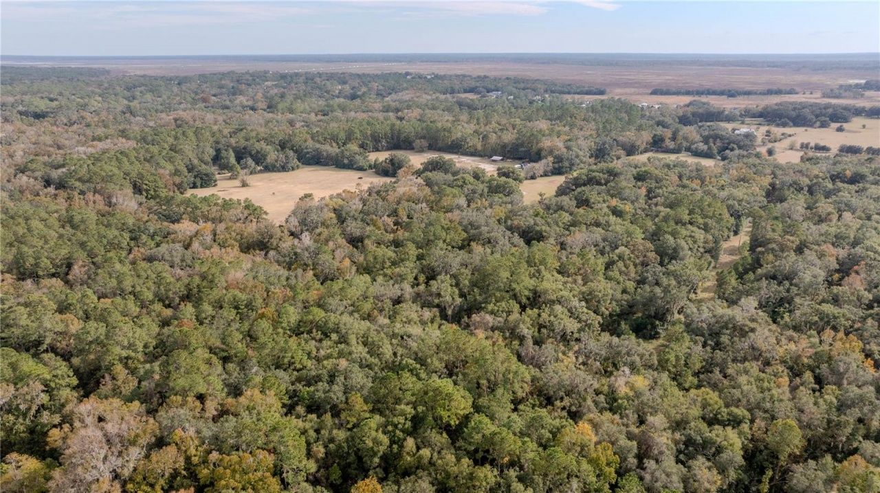 4068 SW 62nd Avenue, Gainesville, FL 32608 Photo