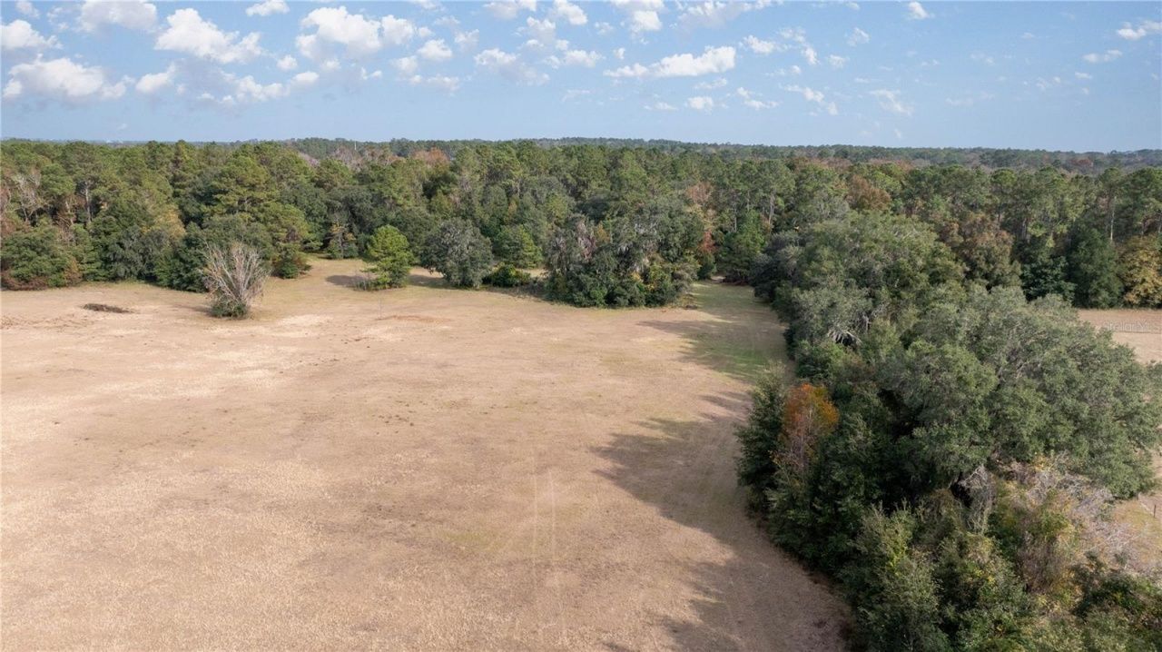 4068 SW 62nd Avenue, Gainesville, FL 32608 Photo